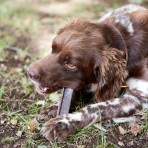 VIRBAC VEGGIEDENT FRESH ADULT DOG LARGE BREEDS 15pcs