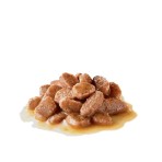 ROYAL CANIN ADULT CAT URINARY CARE THIN SLICES IN GRAVY 85gr