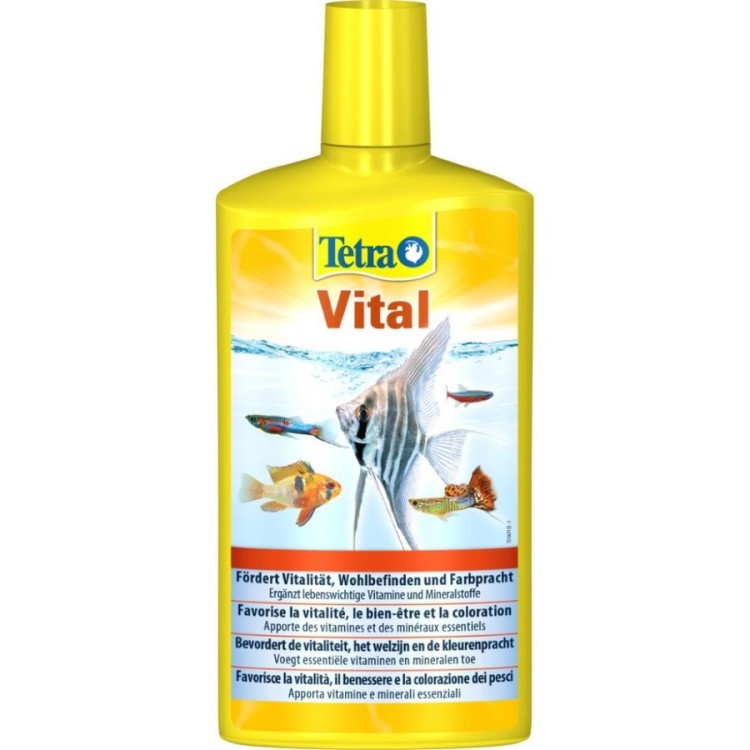 TETRA VITAL ΒΙΤΑΜΙΝΕΣ ΣΕ ΥΓΡΟ ΓΙΑ ΤΡΟΠΙΚΑ ΨΑΡΙΑ 250ml TETRA VITAL ΒΙΤΑΜΙΝΕΣ ΣΕ ΥΓΡΟ ΓΙΑ ΤΡΟΠΙΚΑ ΨΑΡΙΑ 250ml