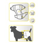 CROCI NAPPY ΠΑΝΑ ΒΡΑΚΑΚΙ ΣΚΥΛΟΥ MEDIUM 32-44cm 12pcs