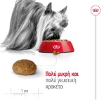 ROYAL CANIN ADULT DOG XSMALL 8 PLUS 1.5kg ROYAL CANIN ADULT DOG XSMALL 8 PLUS 1.5kg