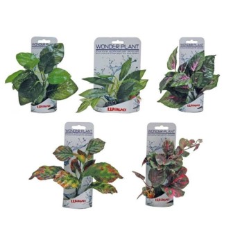CROCI WAVE WONDER PLANT SERIES B ΔΙΑΚΟΣΜΗΤΙΚΟ ΦΥΤΟ ΕΝΥΔΡΕΙΟΥ 15 ΕΩΣ 18cm CROCI WAVE WONDER PLANT SERIES B ΔΙΑΚΟΣΜΗΤΙΚΟ ΦΥΤΟ ΕΝΥΔΡΕΙΟΥ 15 ΕΩΣ 18cm