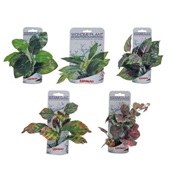 CROCI WAVE WONDER PLANT SERIES B ΔΙΑΚΟΣΜΗΤΙΚΟ ΦΥΤΟ ΕΝΥΔΡΕΙΟΥ 15 ΕΩΣ 18cm