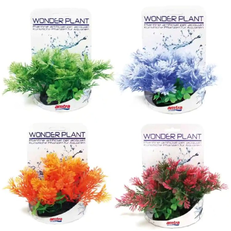 CROCI WONDER PLANT SERIES F ΔΙΑΚΟΣΜΗΤΙΚΟ ΦΥΤΟ ΕΝΥΔΡΕΙΟΥ 13cm