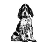 ROYAL CANIN VETERINARY DIET GASTROINTESTINAL PUPPY DOG 1kg