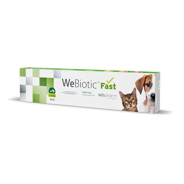 WEPHARM WEBIOTIC FAST SMALL BREEDS ΠΑΣΤΑ ΚΑΤΑ ΤΗΣ ΔΙΑΡΡΟΙΑΣ ΣΚΥΛΟΥ ΚΑΙ ΓΑΤΑΣ 15ml