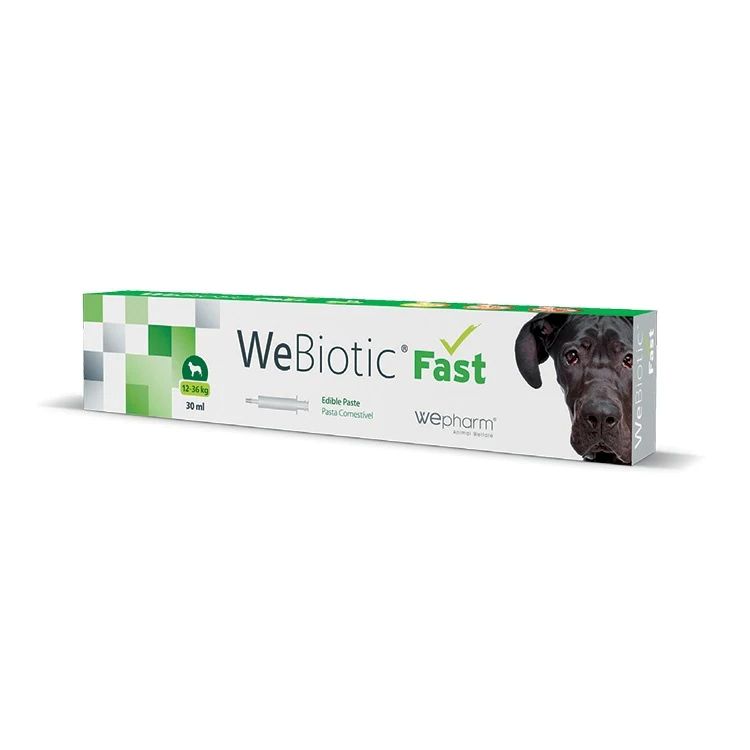 WEPHARM WEBIOTIC FAST MEDIUM BREEDS ΑΝΤΙΔΙΑΡΡΟΙΚΟ ΣΕ ΠΑΣΤΑ ΓΙΑ ΣΚΥΛΟ 30ml