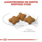 ROYAL CANIN STERILISED XSMALL ADULT DOG 1.5kg ROYAL CANIN STERILISED XSMALL ADULT DOG 1.5kg