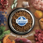ND GRAIN FREE PUMPKIN WILD BOAR AND APPLE ADULT MINI 800gr
