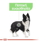 ROYAL CANIN DIGESTIVE CARE ADULT MEDIUM DOG 3kg