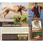 PRIMORDIAL GRAIN FREE HOLLISTIC ADULT DOG CHICKEN SALMON 12kg