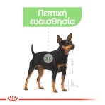 ROYAL CANIN DIGESTIVE CARE ADULT MINI DOG 1kg