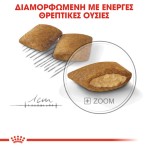 ROYAL CANIN EXIGENT ADULT MINI DOG 1kg ROYAL CANIN EXIGENT ADULT MINI DOG 1kg