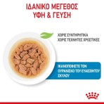ROYAL CANIN PUPPY DOG MINI CHUNKS IN GRAVY POUCH 12x85gr