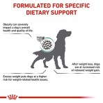 ROYAL CANIN VETERINARY DIET SATIETY WEIGHT MANAGMENT ADULT DOG 6kg