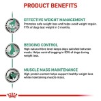 ROYAL CANIN VETERINARY DIET SATIETY WEIGHT MANAGMENT ADULT DOG 6kg