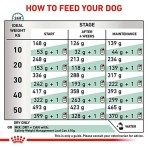 ROYAL CANIN VETERINARY DIET SATIETY WEIGHT MANAGMENT ADULT DOG 6kg