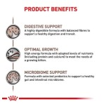 ROYAL CANIN VETERINARY DIET GASTROINTESTINAL KITTEN SOFT MOUSSE CAN 195gr