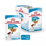ROYAL CANIN PUPPY DOG MINI CHUNKS IN GRAVY POUCH 85gr ROYAL CANIN PUPPY DOG MINI CHUNKS IN GRAVY POUCH 85gr