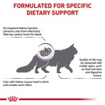 ROYAL CANIN VETERINARY DIET RENAL ADULT CAT 400gr ROYAL CANIN VETERINARY DIET RENAL ADULT CAT 400gr