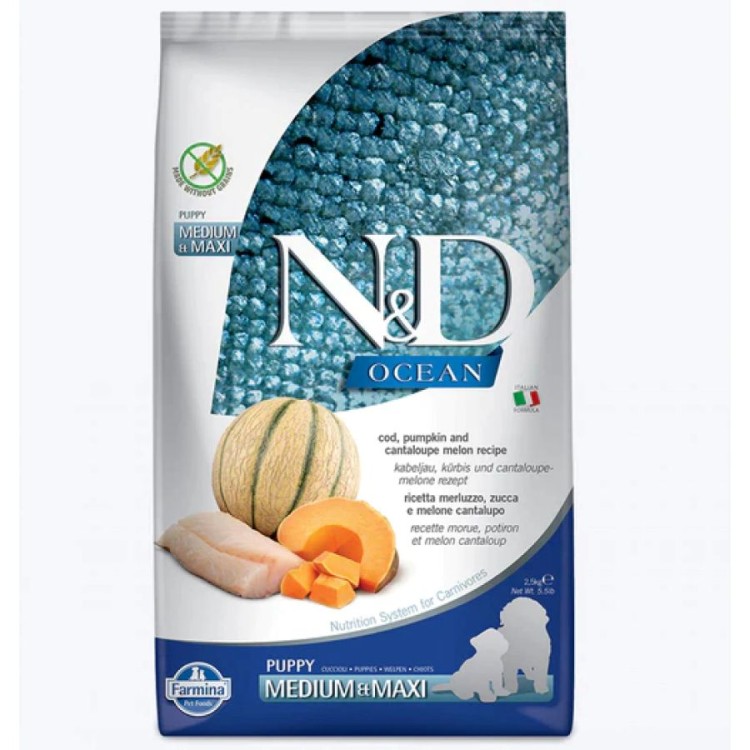 ND OCEAN PUMPKIN CODFISH AND CANTALOUPE MELON PUPPY MEDIUM MAXI 2.5kg