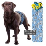 CROCI NAPPY POP MALE WRAP ΦΑΣΑ ΑΡΣΕΝΙΚΟΥ ΣΚΥΛΟΥ XLARGE 60-85cm 12pcs