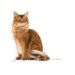 ROYAL CANIN LIGHT WEIGHT CARE ADULT CAT 1.5kg