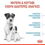 ROYAL CANIN STARTER MOTHER AND BABYDOG MINI 1Kg ROYAL CANIN STARTER MOTHER AND BABYDOG MINI 1Kg