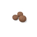 ROYAL CANIN PUPPY DOG MINI 10kg