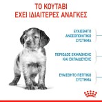 ROYAL CANIN PUPPY DOG MINI 10kg