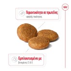 ROYAL CANIN HEALTH NUTRITION ADULT DOG MEDIUM 10kg