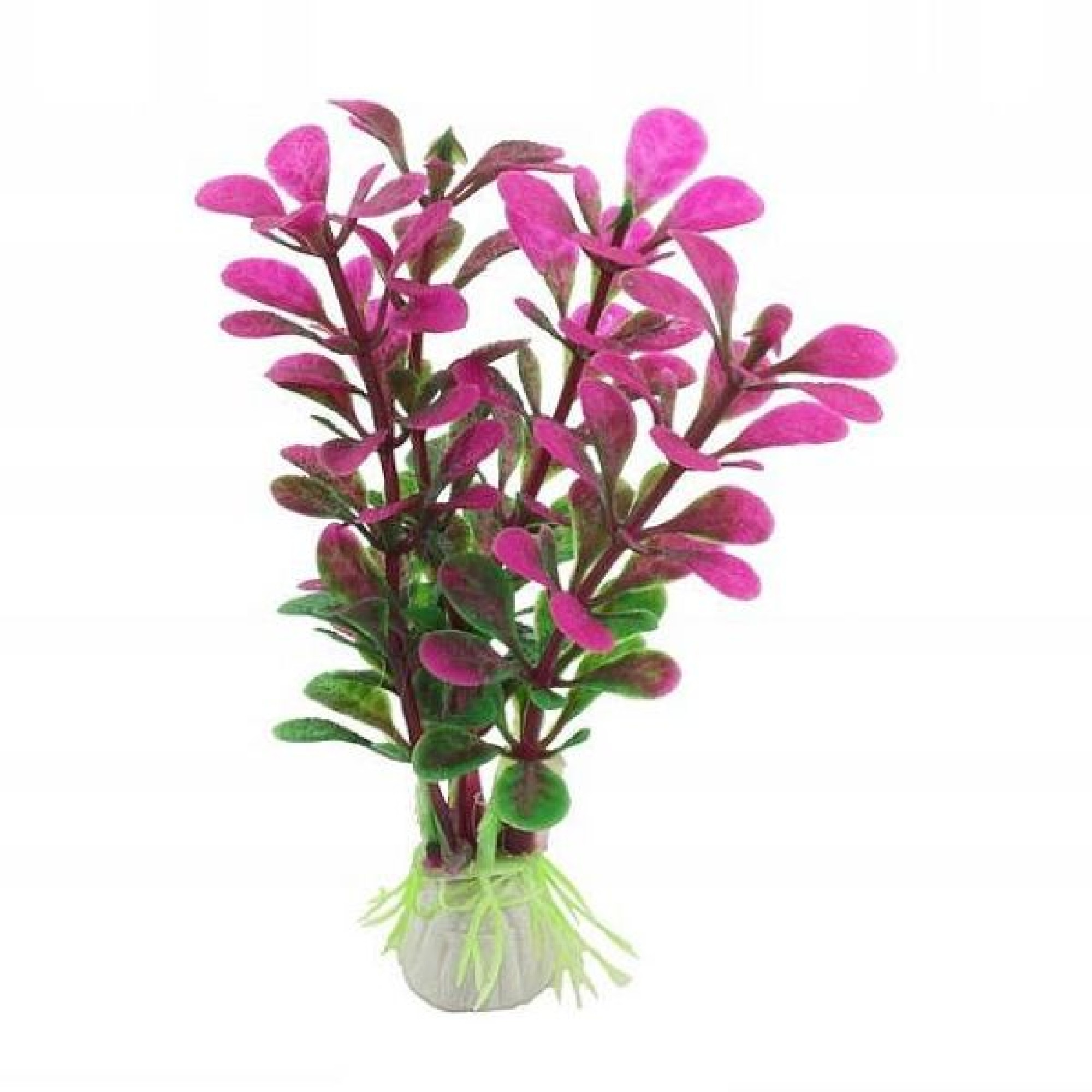 NOBLEZA PLASTIC PLANT ΔΙΑΚΟΣΜΗΤΙΚΟ ΠΛΑΣΤΙΚΟ ΦΥΤΟ ΕΝΥΔΡΕΙΟΥ 10cm