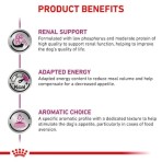 ROYAL CANIN VETERINARY DIET RENAL SPECIAL ADULT DOG LOAF CAN 410gr