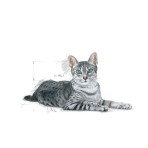 ROYAL CANIN INDOOR ADULT CAT 7PLUS 1.5KG ROYAL CANIN INDOOR ADULT CAT 7PLUS 1.5KG
