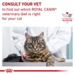 ROYAL CANIN VETERINARY DIET HYPOALLERGENIC ADULT CAT 2.5kg