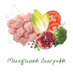 EXCLUSION MEDITERRANEO NOBLE GRAIN CHICKEN ADULT DOG SMALL BREED 500gr EXCLUSION MEDITERRANEO NOBLE GRAIN CHICKEN ADULT DOG SMALL BREED 500gr