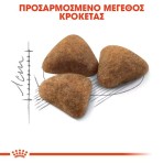 ROYAL CANIN INDOOR27 ADULT CAT 400gr