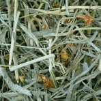 OXBOW BOTANICAL HAY ΧΟΡΤΟ ΤΡΩΚΤΙΚΩΝ 425gr