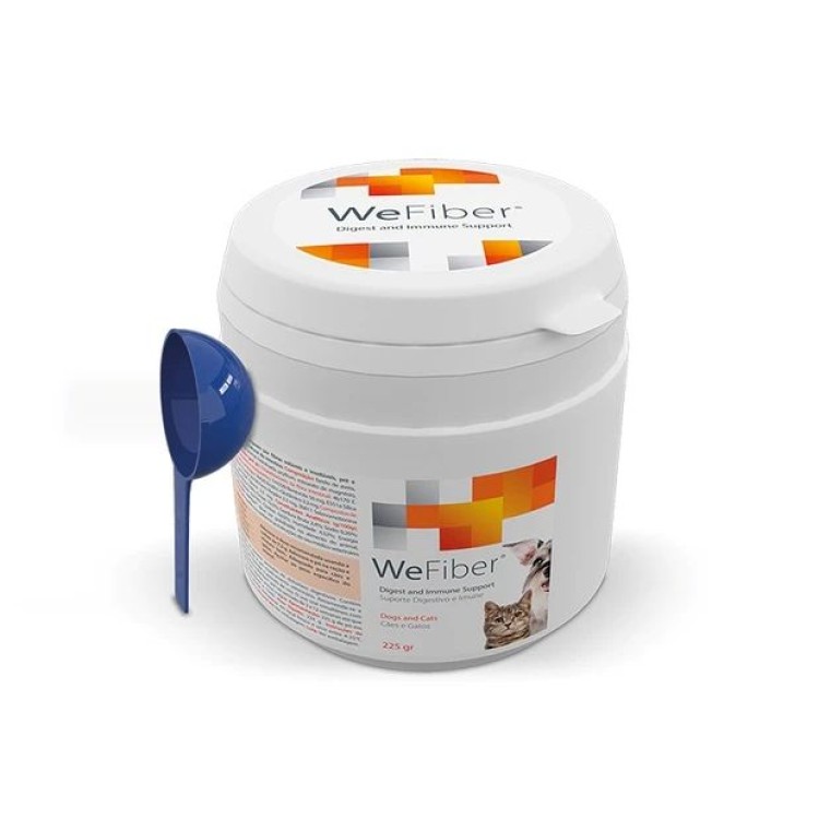 WEPHARM WEFIBER ΣΥΜΠΛΗΡΩΜΑ ΔΙΑΤΡΟΦΗΣ ΓΙΑ ΤΟ ΠΕΠΤΙΚΟ ΣΕ ΣΚΟΝΗ ΓΙΑ ΣΚΥΛΟ ΚΑΙ ΓΑΤΑ 225gr