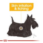 ROYAL CANIN DERMACOMFORT ADULT MINI DOG 8kg ROYAL CANIN DERMACOMFORT ADULT MINI DOG 8kg