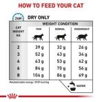 ROYAL CANIN VETERINARY DIET ANALLERGENIC ADULT CAT 2kg