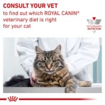 ROYAL CANIN VETERINARY DIET ANALLERGENIC ADULT CAT 2kg