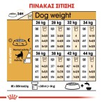 ROYAL GERMAN SHEPHERD ADULT DOG 11kg