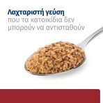 HILL'S PRESCRIPTION DIET i/d DIGESTIVE CARE WET FOOD FOR DOGS 360gr HILL'S PRESCRIPTION DIET i/d DIGESTIVE CARE WET FOOD FOR DOGS 360gr