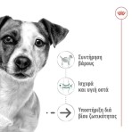 ROYAL CANIN MINI AGEING 8+ DOG LOAF CAN 195gr