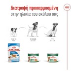 ROYAL CANIN MINI AGEING 8+ DOG LOAF CAN 195gr