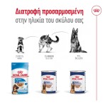 ROYAL CANIN MAXI AGEING DOG LOAF CAN 410gr ROYAL CANIN MAXI AGEING DOG LOAF CAN 410gr
