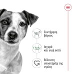ROYAL CANIN ADULT DOG MINI 4kg