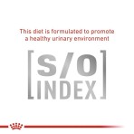 ROYAL CANIN VETERINARY DIET GASTROINTESTINAL HAIRBALL ADULT CAT 4kg