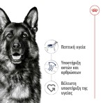 ROYAL CANIN HEALTH NUTRITION ADULT DOG MAXI 10KG